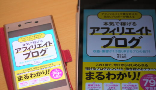 本気で稼げるアフィリエイトブログ 亀山ルカ